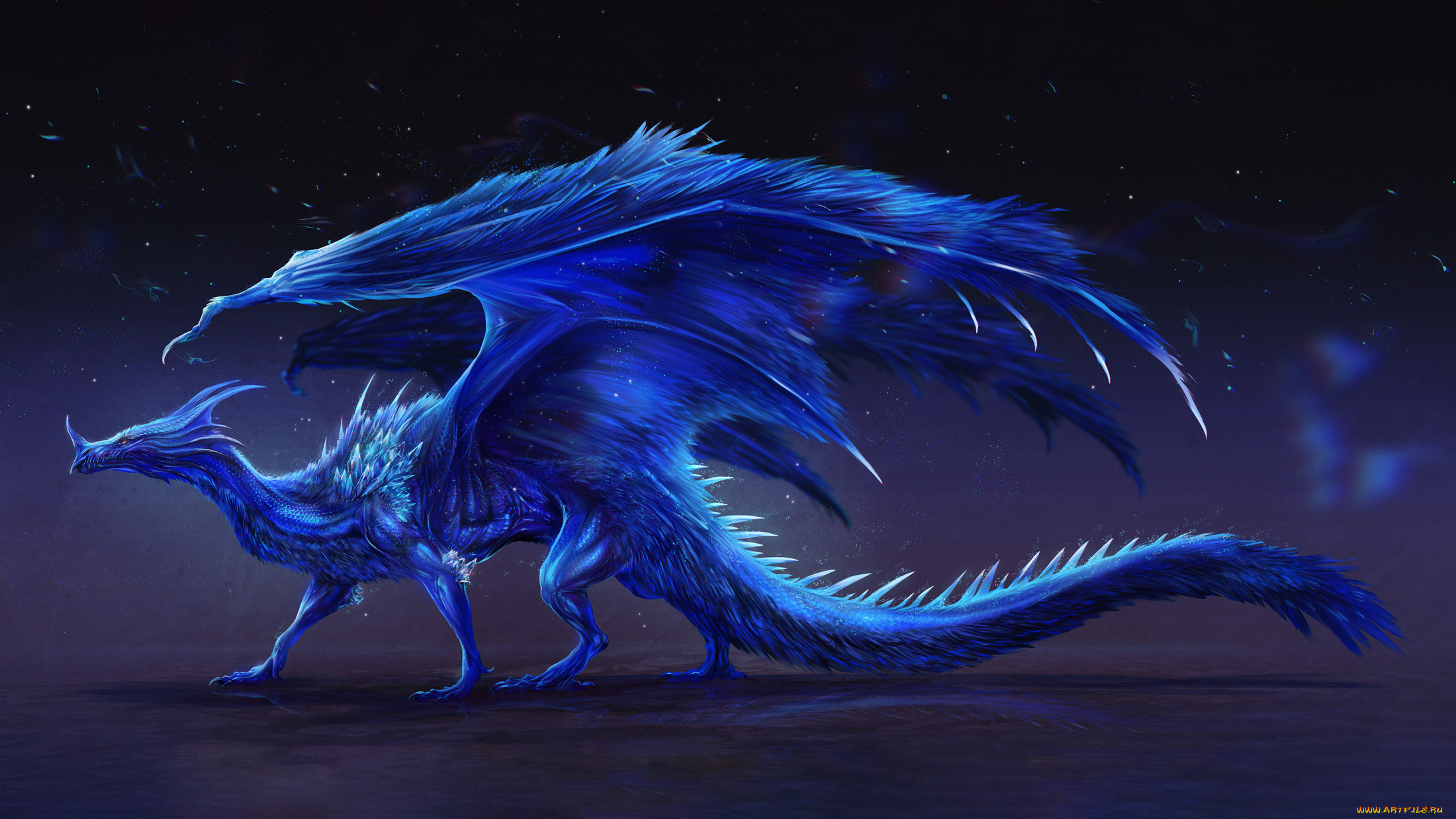Синий дракон арт
